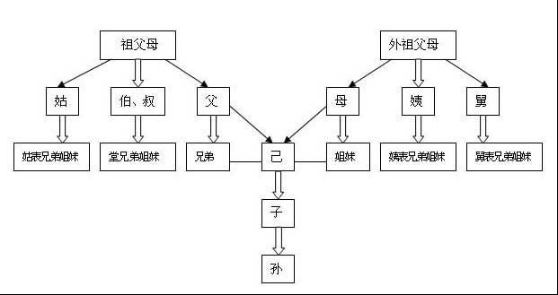 旁系血亲
