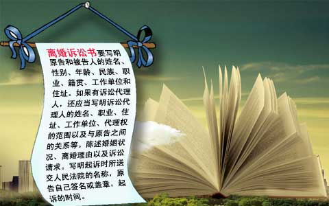 离婚诉讼书
