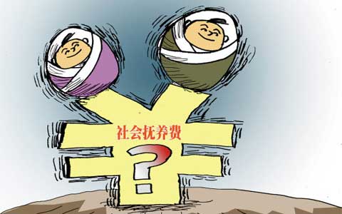 社会抚养费