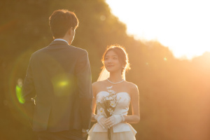 夫妻婚前房产协议