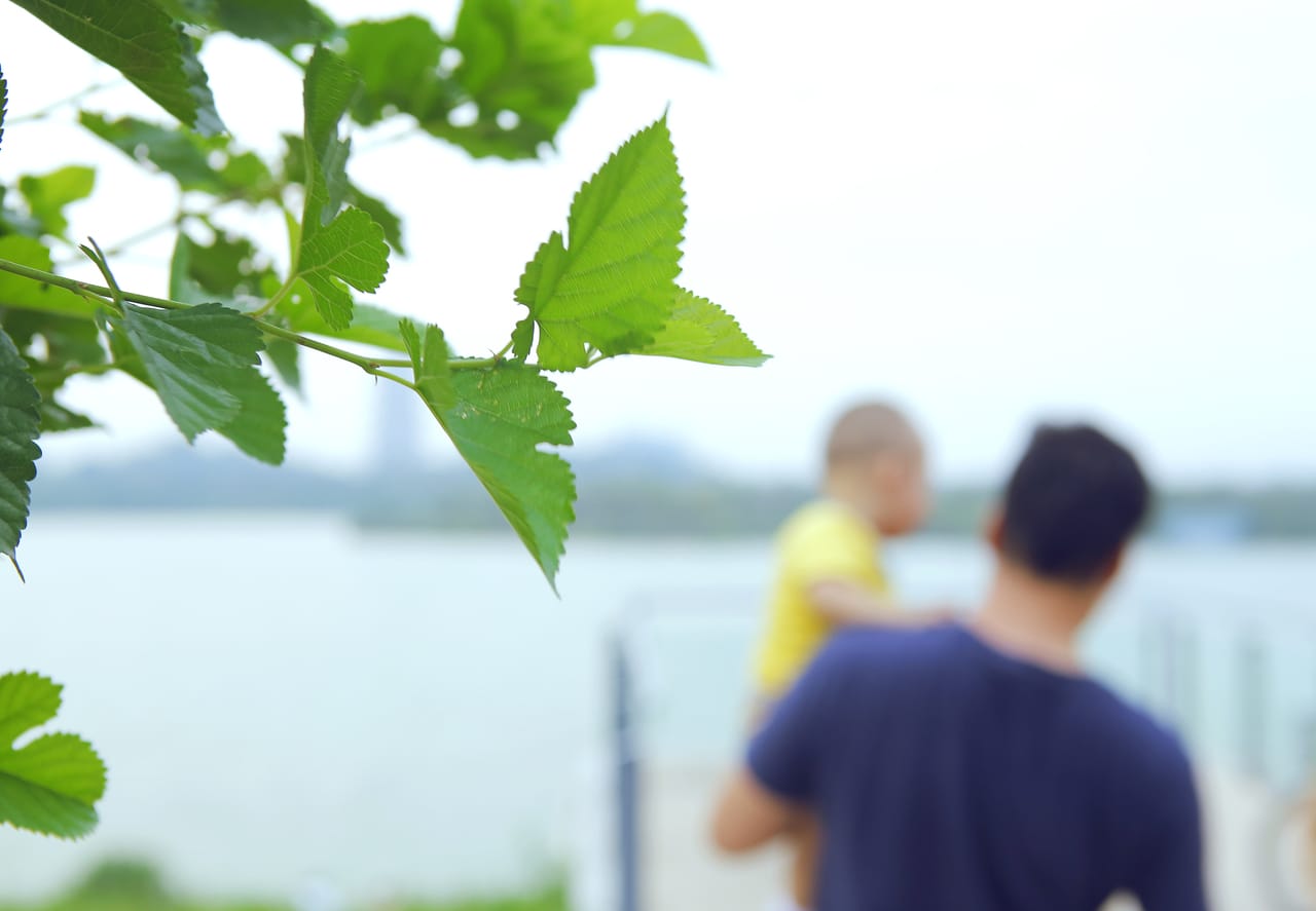 抚养权纠纷案件需要审多久
