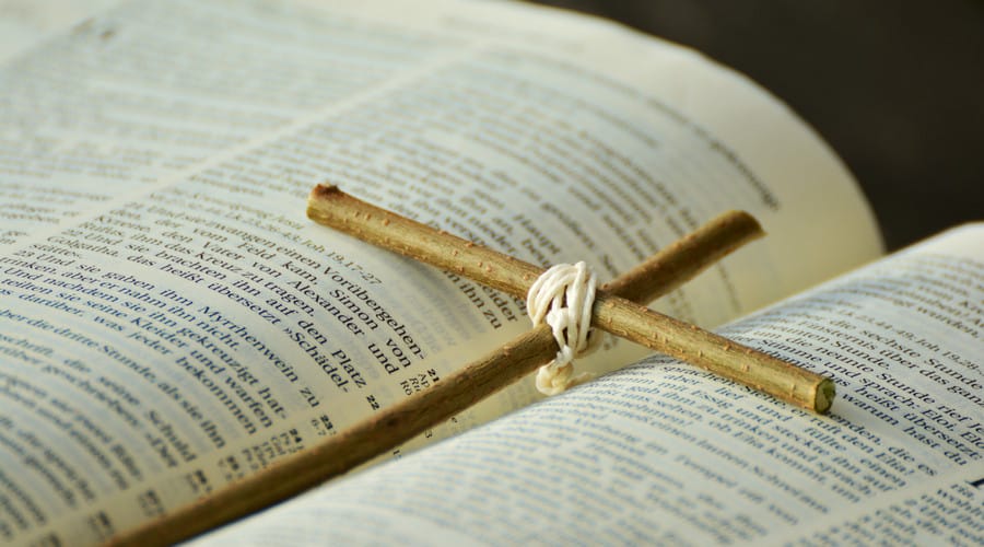 离婚案件代理词范本