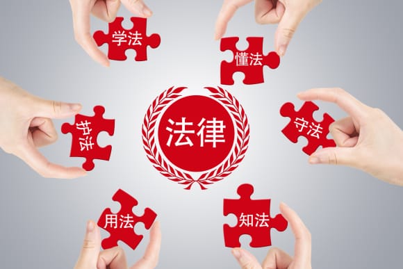 法定监护人职责