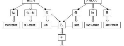 三代以内旁系血亲的范围有哪些？