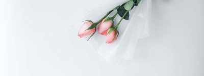 自愿离婚协议书范本是怎样的