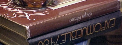 法院有离婚起诉书模板吗