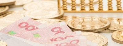 社会抚养费征收标准