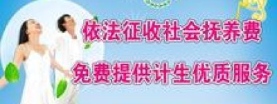 缴纳社会抚养费的事项