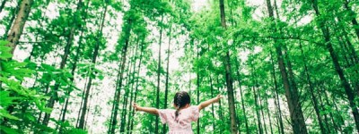 变更抚养权的法定理由