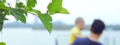 抚养权纠纷案件需要审多久
