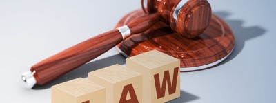 指定监护人的法律程序