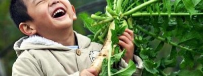 2022婚前协议书范本简单版