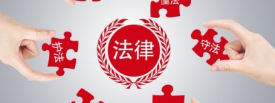 法定监护人职责的法律规定