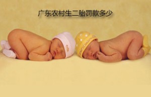 广东农村生二胎罚款多少