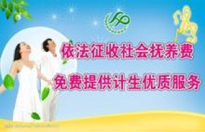 缴纳社会抚养费的事项