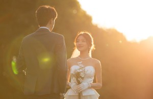 再婚夫妻婚前房产协议