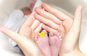 非婚生子新政策2022