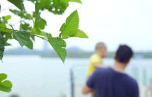 抚养权纠纷案件需要审多久