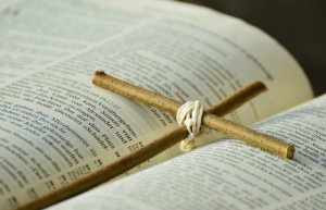 离婚案件代理词范本