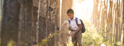 婚后遗弃行为应当承担什么样的责任