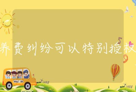 赡养费纠纷可以特别授权吗,特别授权在赡养费纠纷中的适用_辰美法律